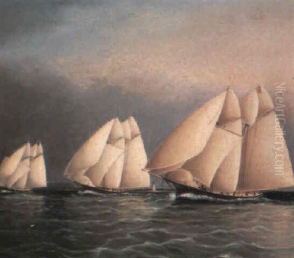 The Start Of The Great Transatlantic Yacht Race - view 1