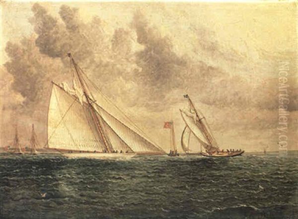Racing Scene Off Bay Ridge - view 1