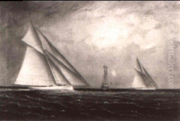 The Yacht Race - view 1