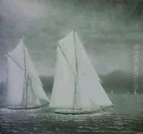 Yacht Race - view 1