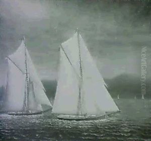 Yacht Race