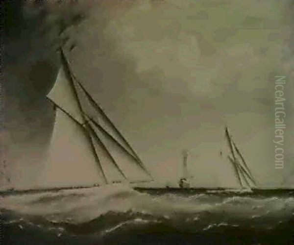 The Yacht Race - view 1