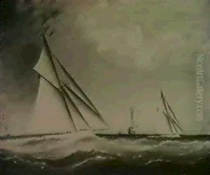 The Yacht Race