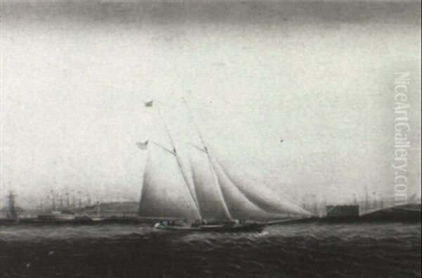 A Schooner In Upper New York Bay - view 1