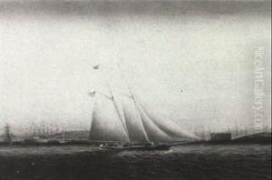 A Schooner In Upper New York Bay A Schooner In Upper New York Bay