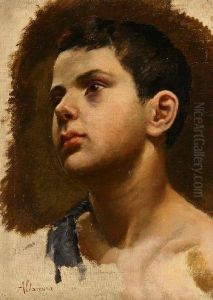 Volto Di Ragazzo
