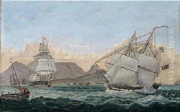 Danish And British Shipping Off Cape Town - view 1