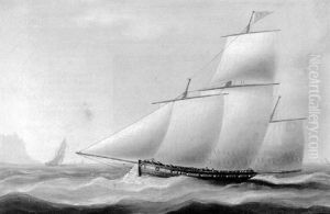 Under Full Sail On Calm Seas