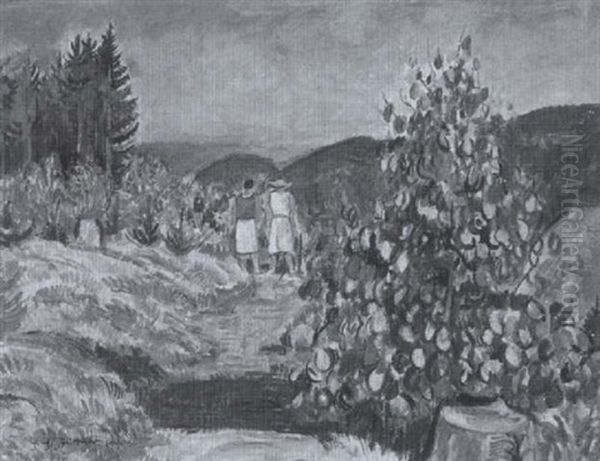 Wanderer Im Riesengebirge Mit Weitem Blick In Die Sommerliche Landschaft - view 1