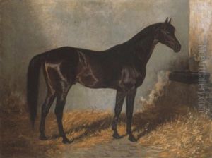 "indian Star" by Helene Buettner