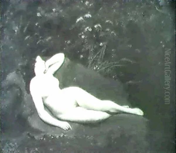 Jeune Femme Nue Allongee Dans Un Paysage - view 1