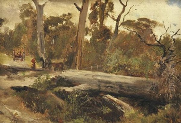 A Bush Track At Fernshaw - view 1