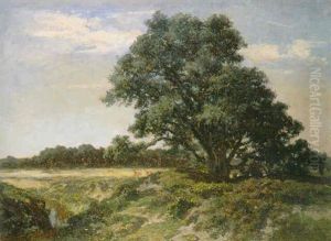The Big Tree, Gardiners Creek by Abraham Louis Buvelot