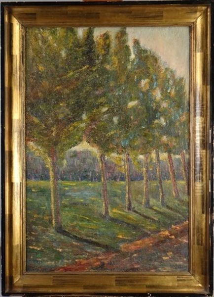 Sous-bois - view 1