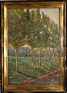 Sous-bois