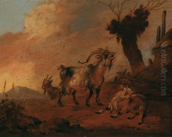 Drei Ziegen In Einer Landschaft - view 1