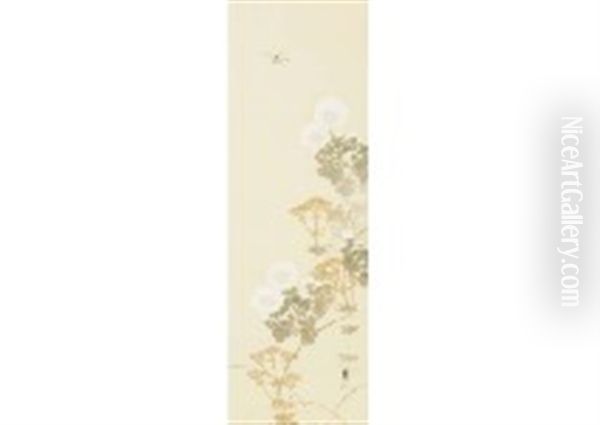 White Mum - view 1