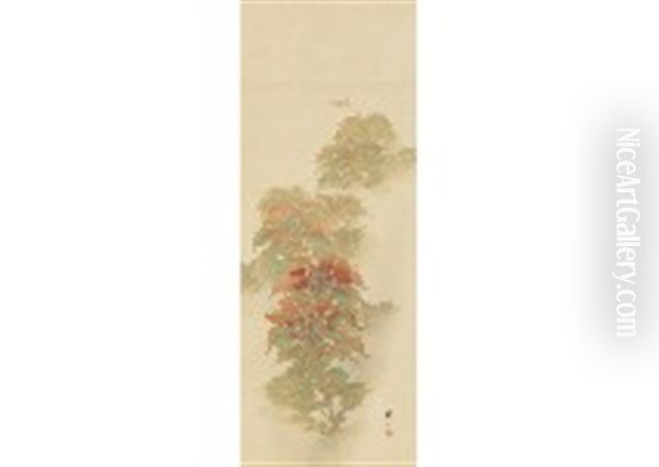 Amaranth - view 1