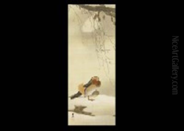 Mandarin Duck - view 1