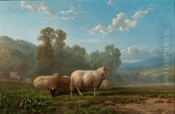 Sheep In A Summer Landscape - view 1