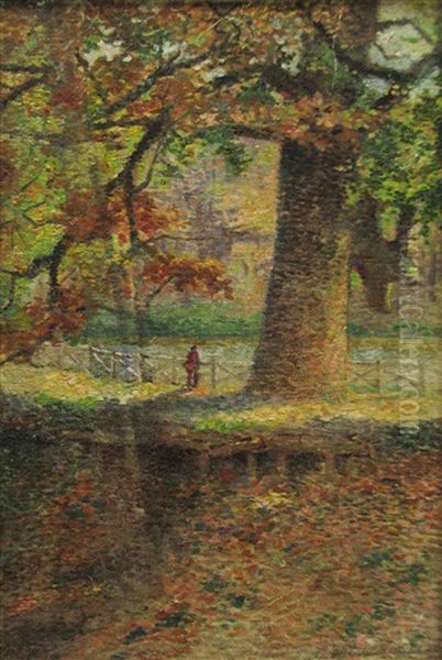 Autumn In The Forest - view 1