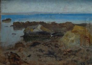Scogliera A Castiglioncello by Vincenzo Cabianca