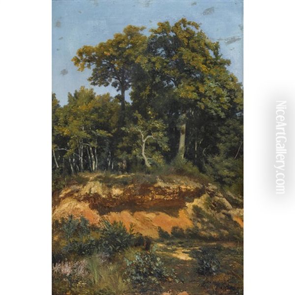 Waldlichtung - view 1