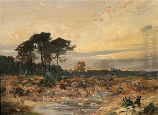 Moorlandschaft - view 1