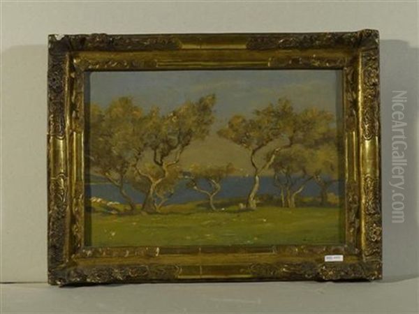 Landschaft Mit Pinienbaumen Am Meer - view 1