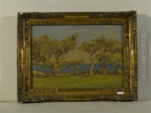 Landschaft Mit Pinienbaumen Am Meer