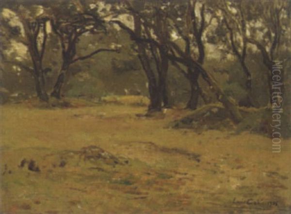 Baumbestandene Landschaft - view 1