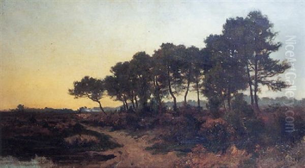 Paisaje Al Anochecer - view 1