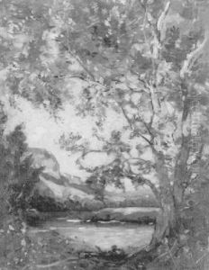 Arbre Pres D'un Etang