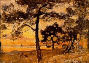 Soleil Couchant A Andernos Presd'arcachon