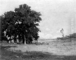 Paysage Campagnard