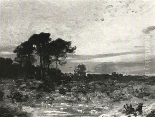 Landschaft - view 1