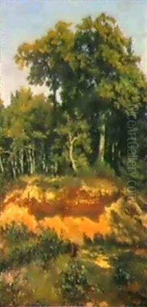 Sommerliche Waldlandschaft - view 1