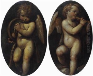 Putto Con Olicorno