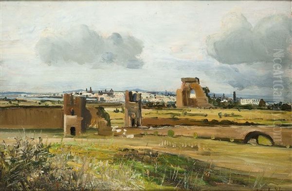 Ruderi Nella Pianura - view 1