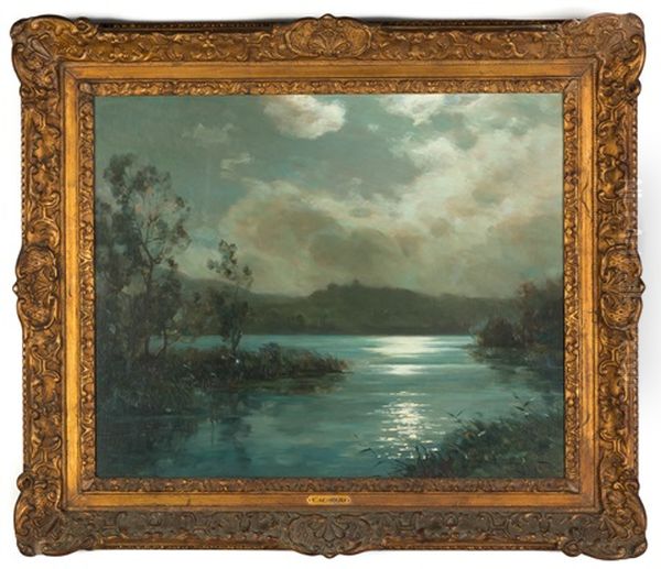Moonlit Lake - view 1
