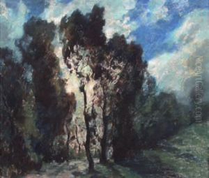 Paysage Aux Grands Arbres Par Temps D'orage Paysage Aux Grands Arbres Par Temps D'orage