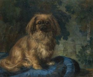 Pekingese by Francois Charles Cachoud