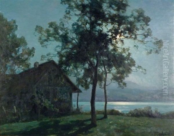 Lac D'aiguebelette Au Clair De Lune - view 1