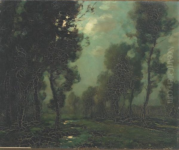 Moonlit Woodland Scene - view 1