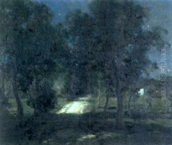 Evening Landscape - view 1