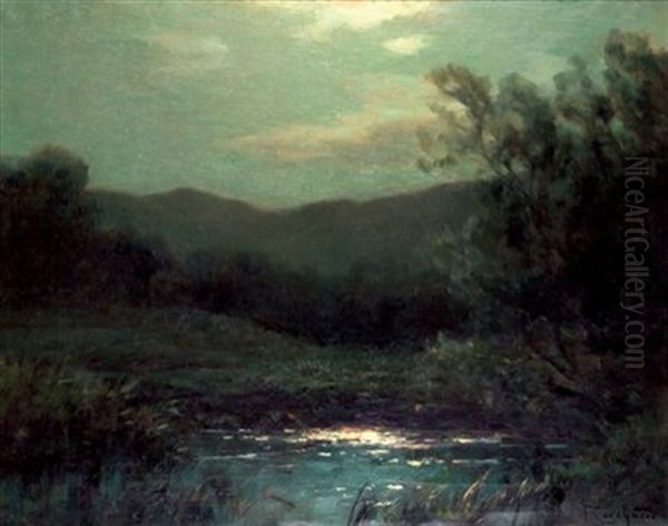 Nuit Sur L'etang - view 1