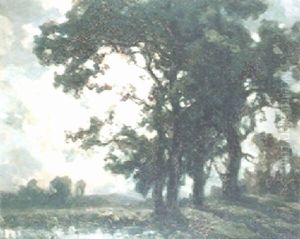 Oak Trees By A Pool By Night