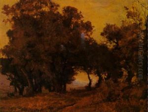 Landscape Landscape