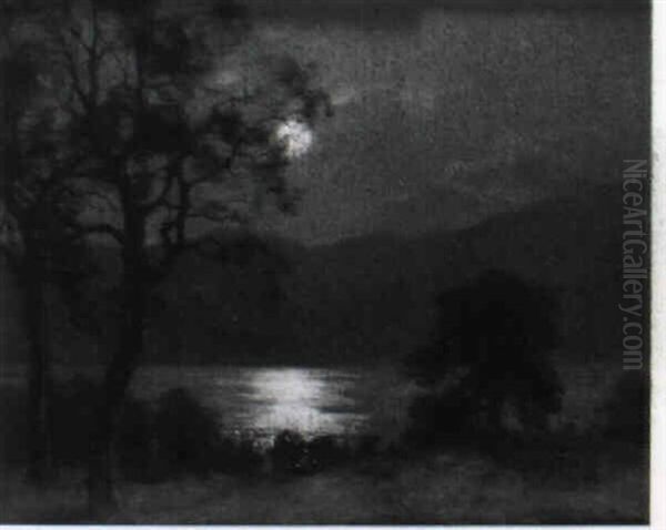 Reflets De Lune-lac D'aiguebelette (savoie) - view 1