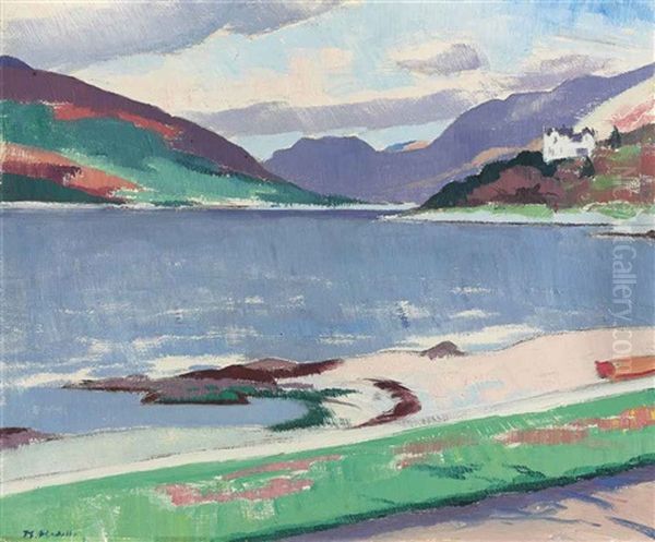 Cove, Loch Long - view 1